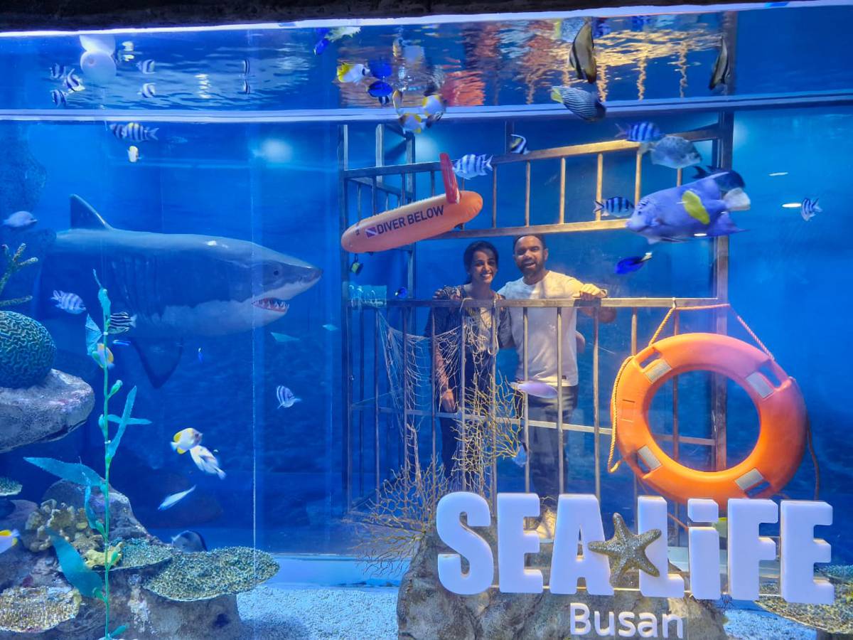 シーライフ釜山アクアリウム割引チケット
