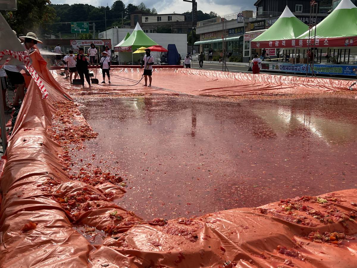 2025 華川トマト祭りシャトルバス パッケージ (8月1日～3日) - ソウル発