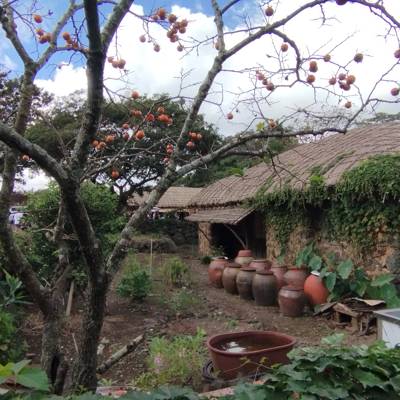 Photo review number 17929 from ESTELLE P