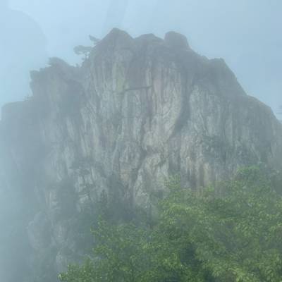 Photo review number 8027 from Martijn T