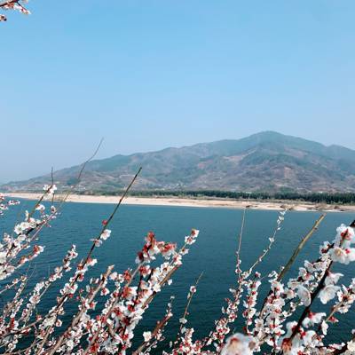 Photo review number 5300 from Thi Dung K