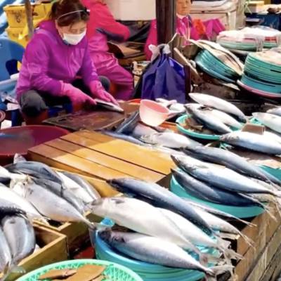 Photo review number 6259 from iamm****@*********