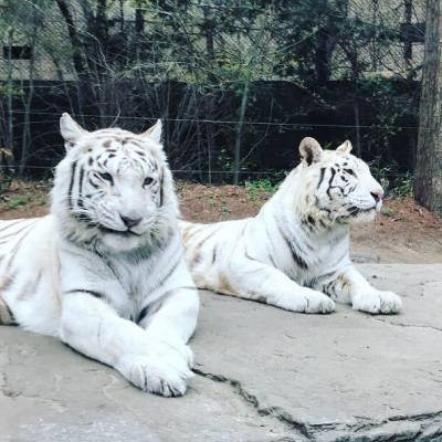 Photo review number 1942 from nene*****@*********