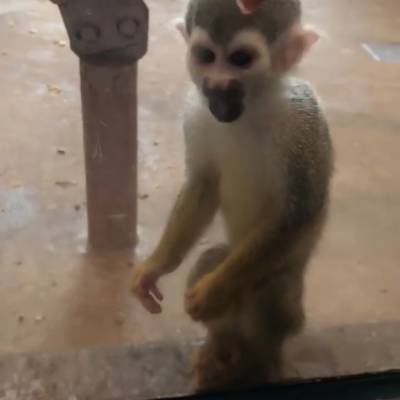 Photo review number 2557 from Ronia  A