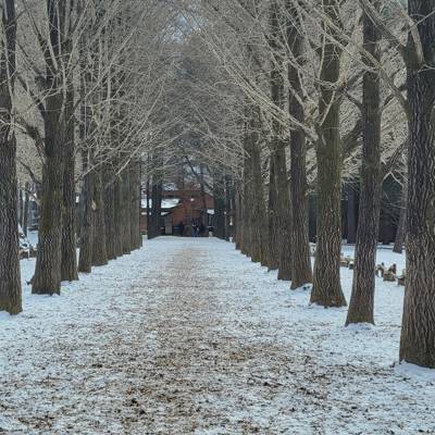 Photo review number 10167 from Hector P
