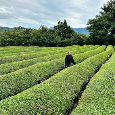 Photo review number 17802 from marl********@*********