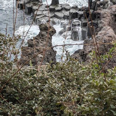 Photo review number 16873 from Robert M