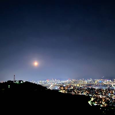 Photo review number 16355 from pmai*****@*********