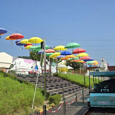 Photo review number 15093 from smyo****@*********
