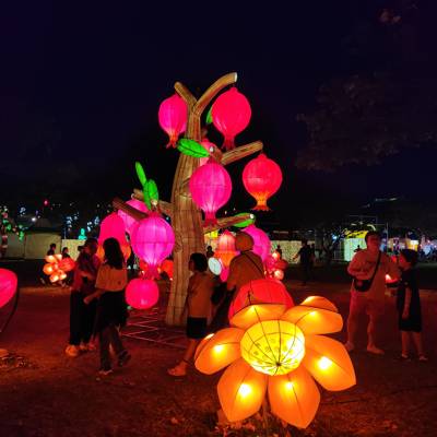 Photo review number 17424 from Priscilla D