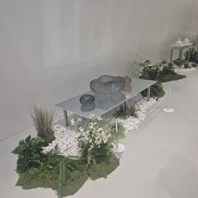 Photo review number 17704 from Regula R