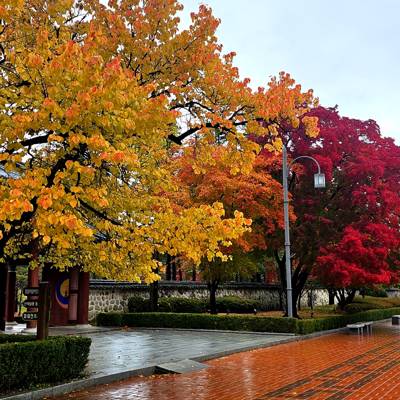 Photo review number 17905 from Katherine W