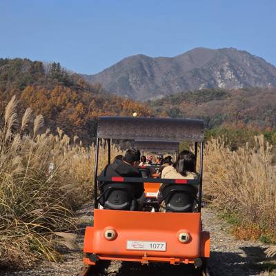 Photo review number 18000 from smyo****@*********