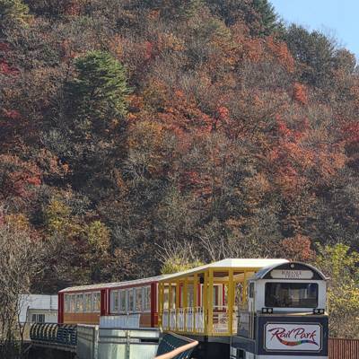 Photo review number 18003 from smyo****@*********