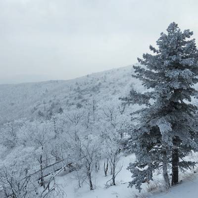 Photo review number 15833 from fird*******@*********