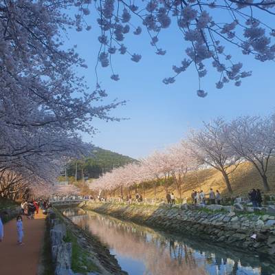 Photo review number 7624 from Dennis N