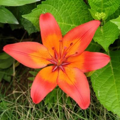 Photo review number 3067 from Gabrielle S
