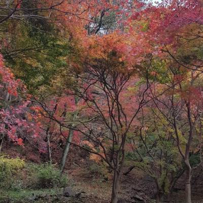 Photo review number 3758 from ANGE****@*********