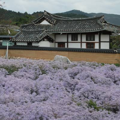 Photo review number 12481 from shel***************@*********