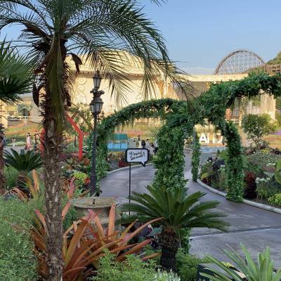 Photo review number 2556 from Ronia  A