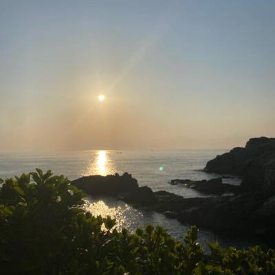 Photo review number 7544 from Betsy M