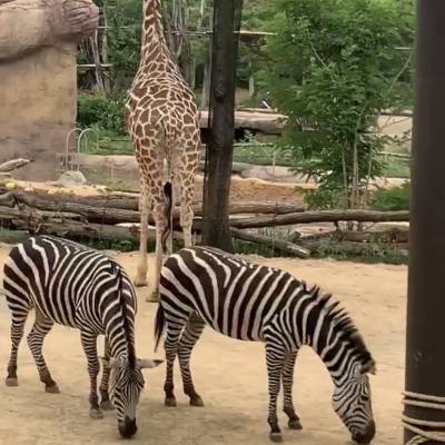 Photo review number 2570 from Ronia  A