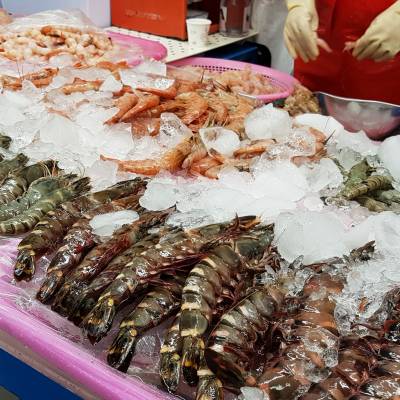 Photo review number 939 from Sino N