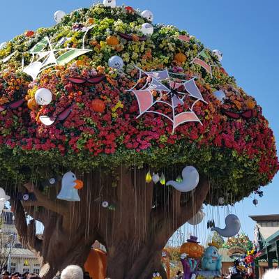 Photo review number 1010 from Maude-Amélie D