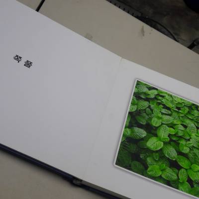 Photo review number 1017 from Tracy H