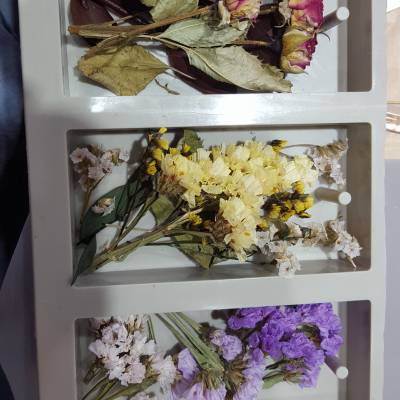 Photo review number 1165 from alil******@*********