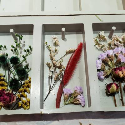 Photo review number 1141 from Xuan Lin T