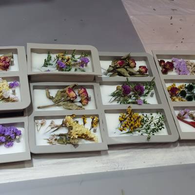 Photo review number 1168 from alil******@*********