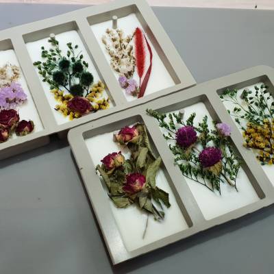 Photo review number 1142 from Xuan Lin T