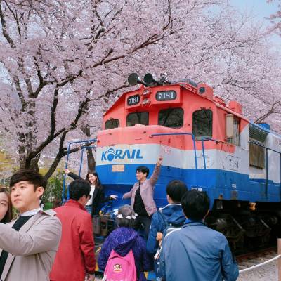 Photo review number 1917 from Xuan Lin T