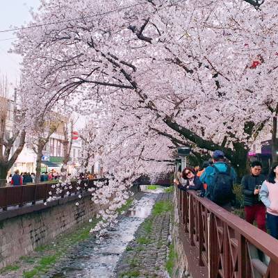 Photo review number 1918 from Xuan Lin T