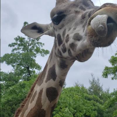 Photo review number 2265 from Joseline V