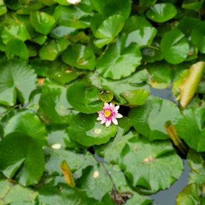 Photo review number 2342 from Christine U