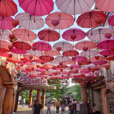 Photo review number 2354 from bria**********@*********