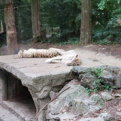 Photo review number 2792 from Alyza F