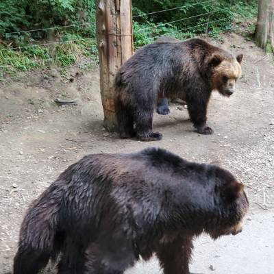 Photo review number 2791 from Alyza F