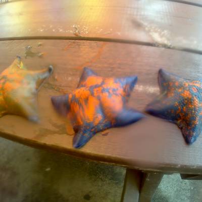 Photo review number 2819 from Melisa L