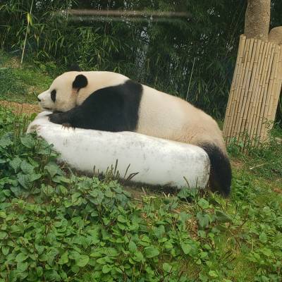 Photo review number 3206 from Nadia M