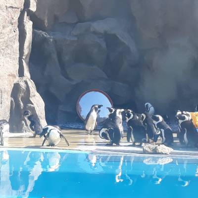 Photo review number 3747 from Chandni K