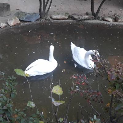 Photo review number 3750 from Chandni K