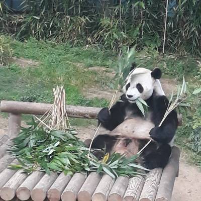 Photo review number 3748 from Chandni K