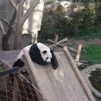 Photo review number 3749 from Chandni K