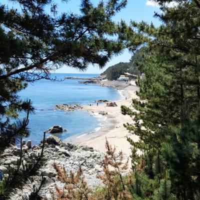 Photo review number 5514 from Annamarie C