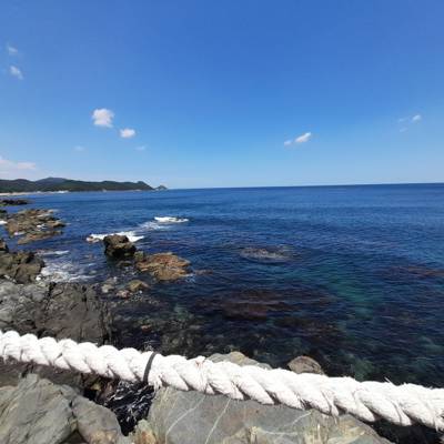 Photo review number 5517 from Annamarie C