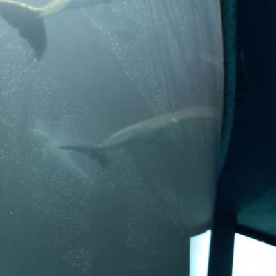 Photo review number 5582 from walter p