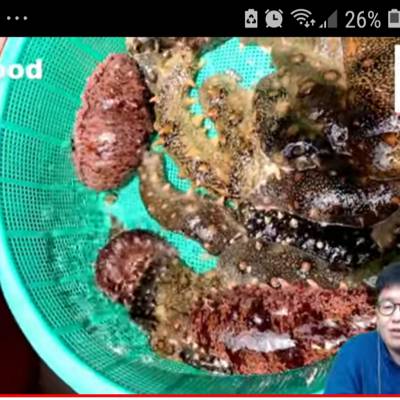 Photo review number 5967 from Maria N